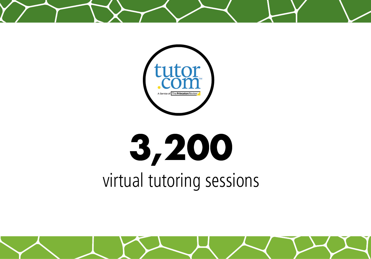 3,200 virtual tutoring sessions