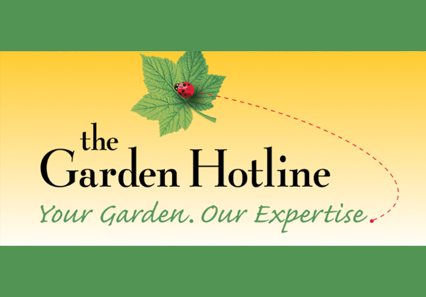 The Garden Hotline: Your garden, our expertise