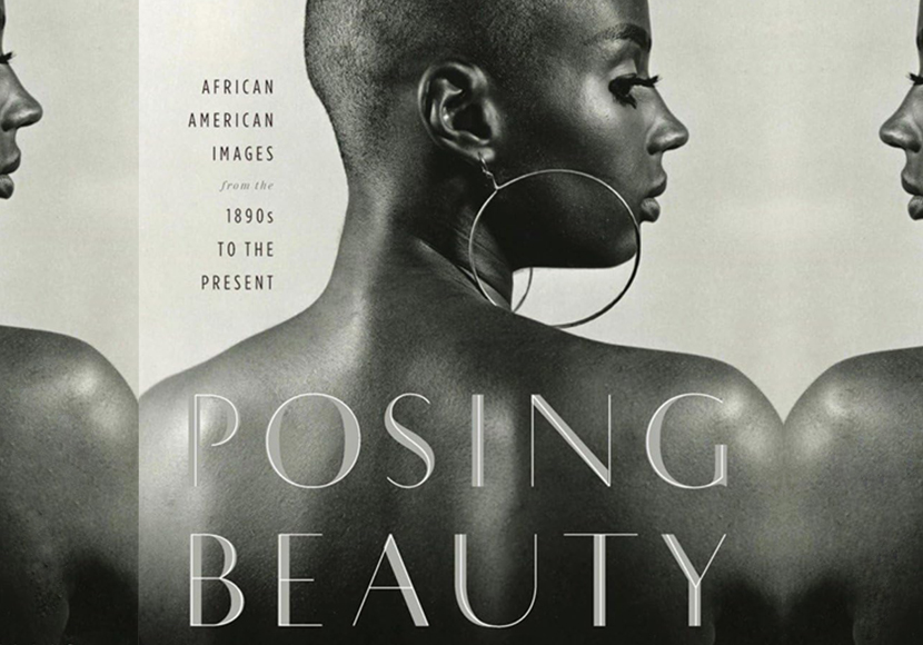 Explore the collection