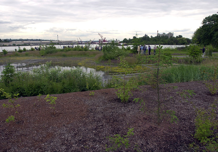 Photo of Herring's House Park opening, 2001
