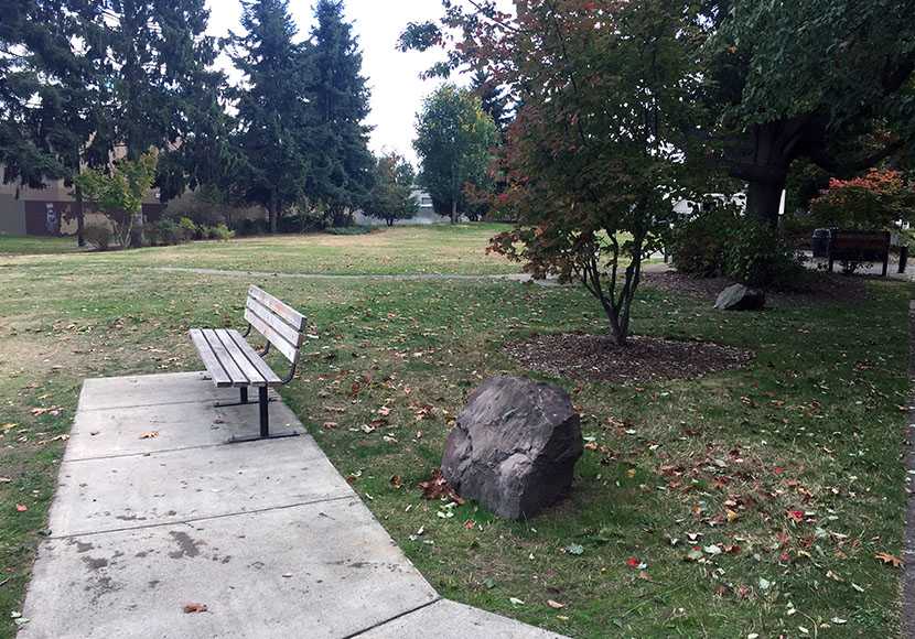 Photo of Duwamish Waterway Park, 2017