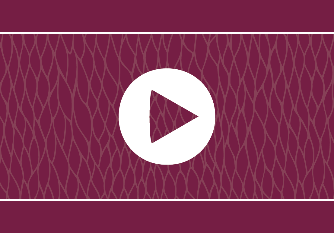 Author programs playlist graphic