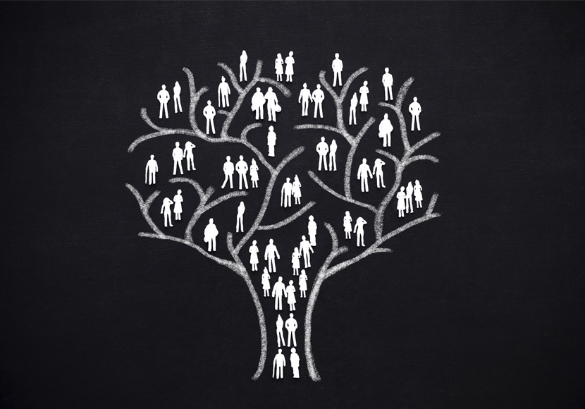 family tree graphic