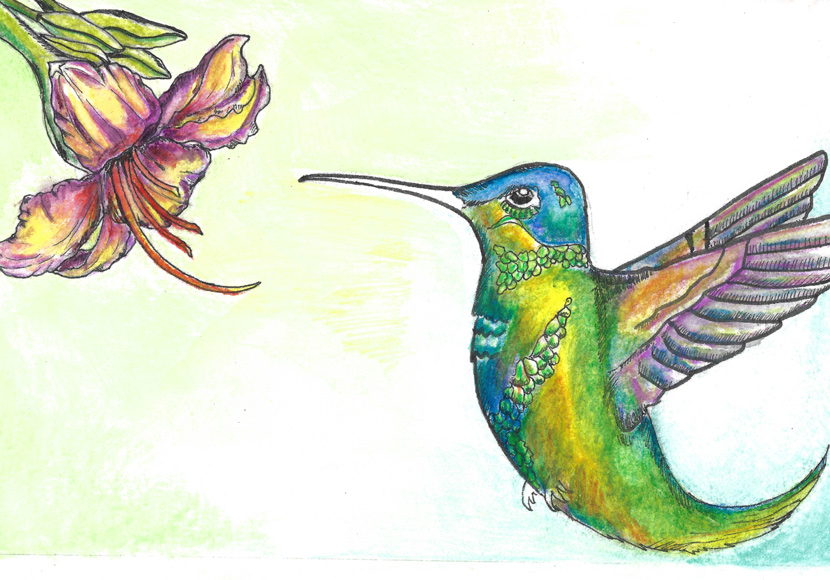 Hummingbird by Kimisha Turner