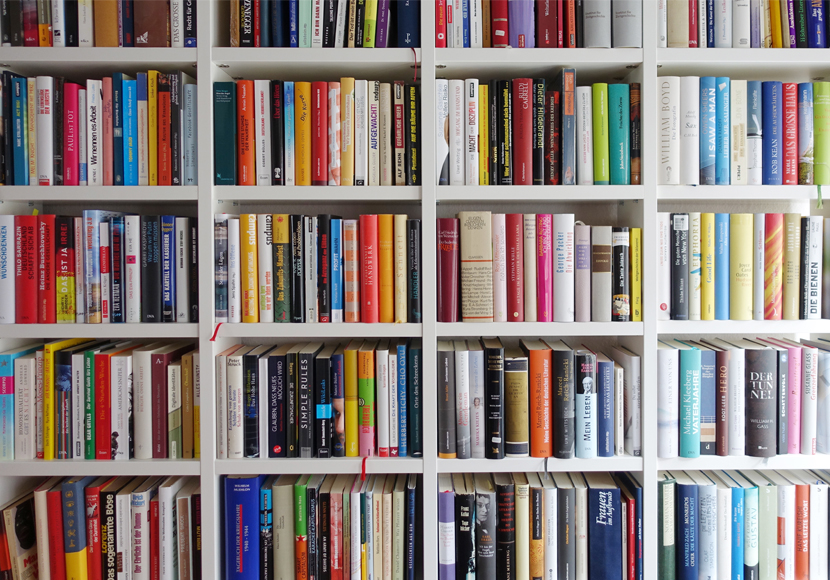 bookshelf full of books