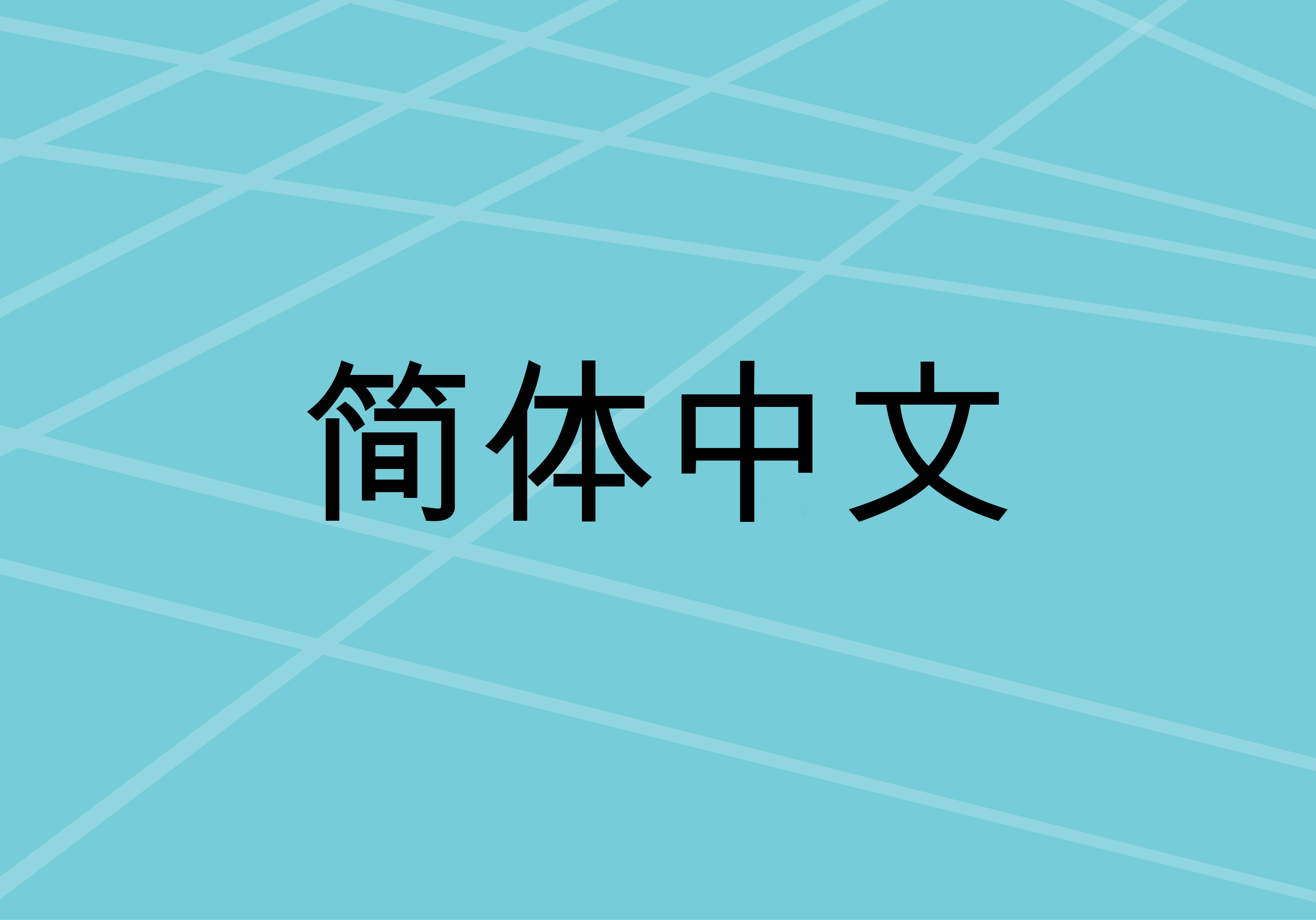 中文