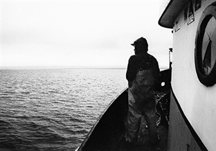Salmon And The Salish Sea: Stories And Sovereignty