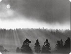 Mary Randlett: Landscapes